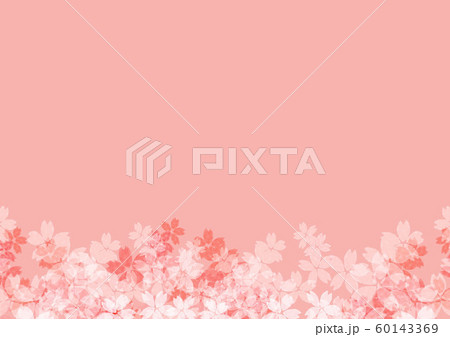 桜　春イラスト 60143369
