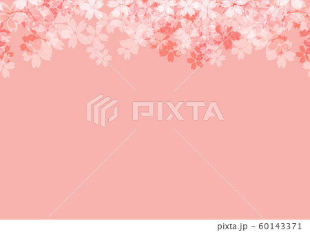 桜　春イラスト 60143371