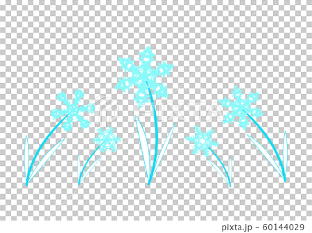 雪の花 60144029