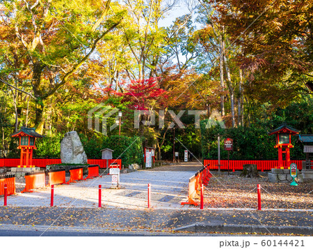 秋の京都 下鴨神社 表参道 秋の京都 下鴨神社 表参道 60144421