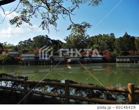 紅葉の名所京都の長岡天満宮 60146429