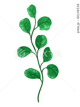 Illustration of sprig with green leaves. 60146536