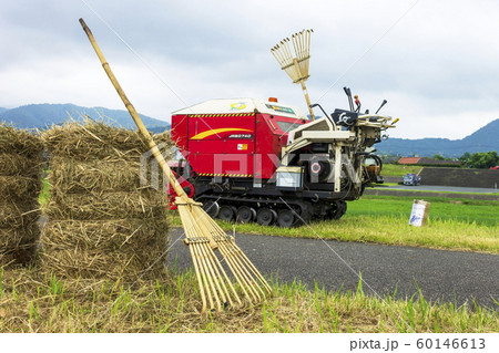 除草作業イメージ 除草作業イメージ 60146613