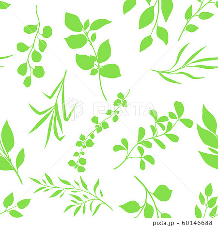 Seamless pattern of sprigs with green leaves. Seamless pattern of sprigs with green leaves. 60146688