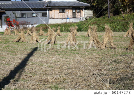 稲わら立て 60147278
