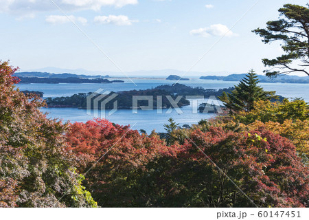 日本三景　松島　宮城県　東北 60147451
