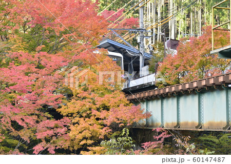 【京都府】叡山鉄道・貴船口駅付近の紅葉 【京都府】叡山鉄道・貴船口駅付近の紅葉 60147487