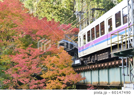 【京都府】叡山鉄道・貴船口駅付近の紅葉 【京都府】叡山鉄道・貴船口駅付近の紅葉 60147490