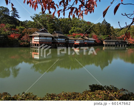 紅葉の名所京都の長岡天満宮 60147662