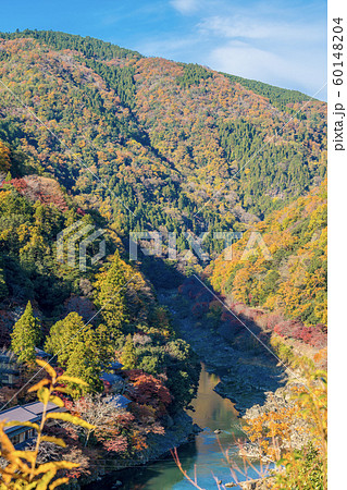 嵐山公園展望台から秋の保津峡を望む 嵐山公園展望台から秋の保津峡を望む 60148204