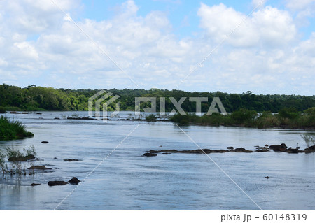 イグアスの滝 すぐ上流 イグアスの滝 すぐ上流 60148319