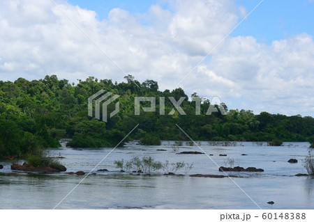 イグアスの滝　すぐ上流 60148388
