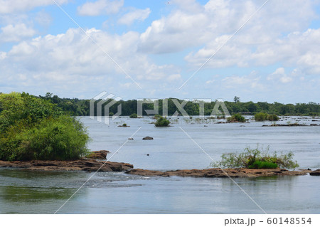 イグアスの滝 すぐ上流 イグアスの滝 すぐ上流 60148554