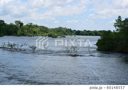 イグアスの滝　すぐ上流 60148557