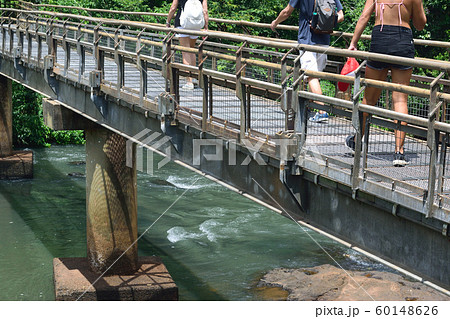 イグアスの滝 遊歩道 イグアスの滝 遊歩道 60148626