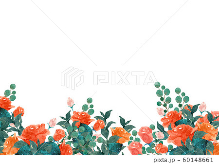 水彩の薔薇背景のイラスト素材