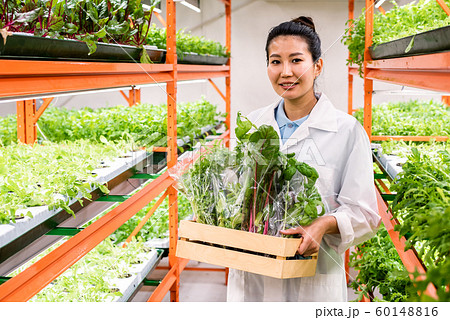 Pretty Asian female agronomist with packed fresh organic food moving along aisle 60148816