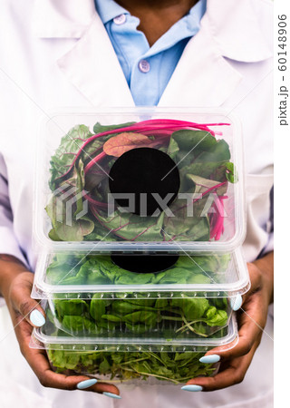 Three plastic containers with organic food held by African greenhouse worker 60148906