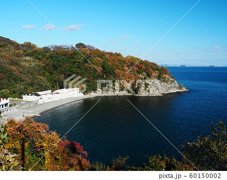 赤穂御崎の紅葉 福浦の紅葉 岬の紅葉 赤穂御崎の紅葉 福浦の紅葉 岬の紅葉 60150002