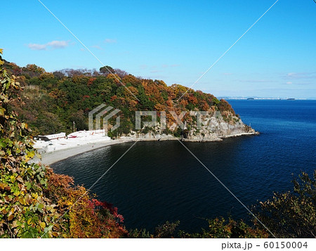 赤穂御崎の紅葉 福浦の紅葉 岬の紅葉の写真素材