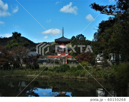 紅葉の時期の大覚寺法生池と二重の心経宝塔 紅葉の時期の大覚寺法生池と二重の心経宝塔 60150268
