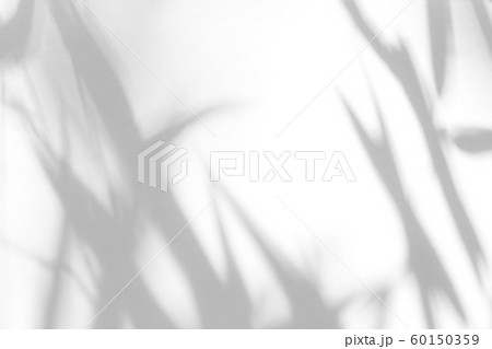 gray shadow of the leaves on a white wall 60150359