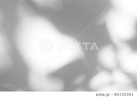 gray shadow of the leaves on a white wall 60150361