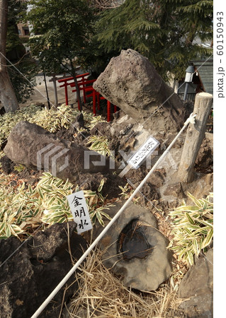 鳩森八幡神社 富士塚 鳩森八幡神社 富士塚 60150943