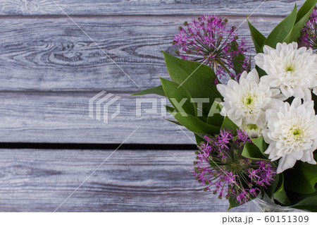 Bouquet of white chrysanthemums and purple allium. 60151309
