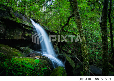 Waterfall in the tropical rainforest landscape Waterfall in the tropical rainforest landscape 60151514