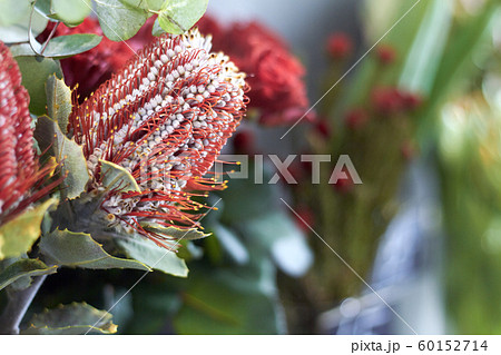 Close-up flower shop window with exotic flowers, 60152714