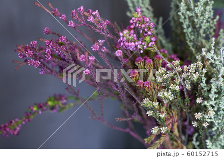 Close-up flower shop window with exotic flowers, 60152715
