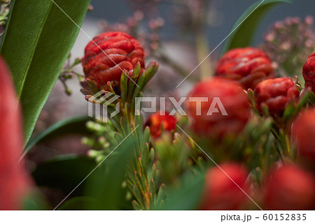 Detail closeup chic autumn bouquet in red colors Detail closeup chic autumn bouquet in red colors 60152835