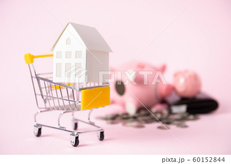Model paper house in shopping cart and piggy bank Model paper house in shopping cart and piggy bank 60152844