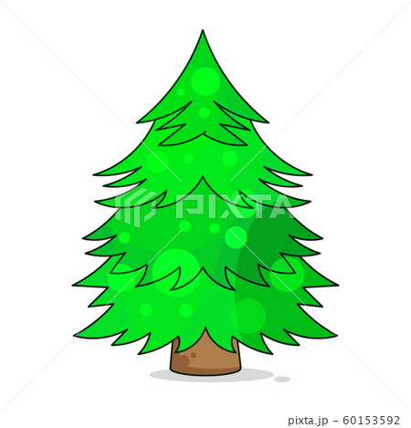 Real Christmas Spruce Tree. Sketch For Greeting 60153592