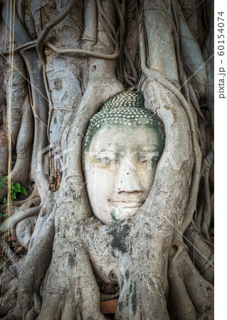 Buddha Head in Tree Roots, Wat Mahathat, 60154074