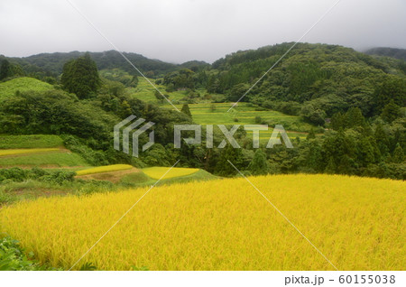 岩首昇竜棚田(新潟県佐渡市岩首地区) 岩首昇竜棚田(新潟県佐渡市岩首地区) 60155038