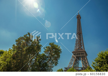 Trees and Eiffel Tower on a sunny day in Paris 60156830