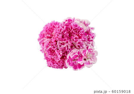 カーネーションの花束 60159018