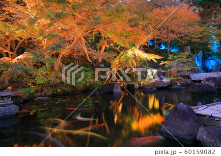 神奈川県 長谷寺紅葉ライトアップの写真素材