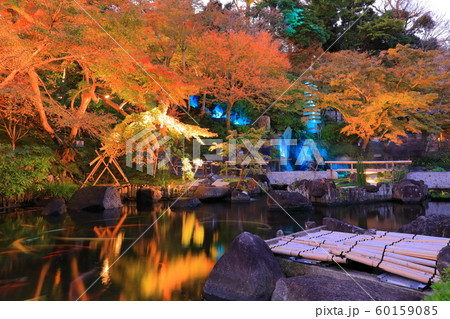 神奈川県 長谷寺紅葉ライトアップの写真素材