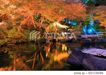 神奈川県 長谷寺紅葉ライトアップの写真素材