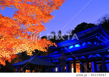 【神奈川県】長谷寺紅葉ライトアップ 60159087