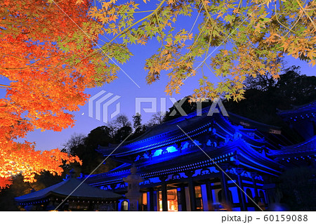 【神奈川県】長谷寺紅葉ライトアップ 【神奈川県】長谷寺紅葉ライトアップ 60159088