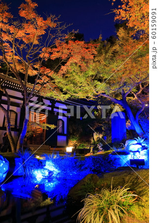 【神奈川県】長谷寺紅葉ライトアップ 【神奈川県】長谷寺紅葉ライトアップ 60159091