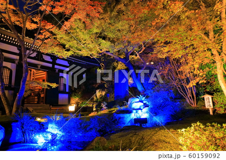 神奈川県 長谷寺紅葉ライトアップの写真素材