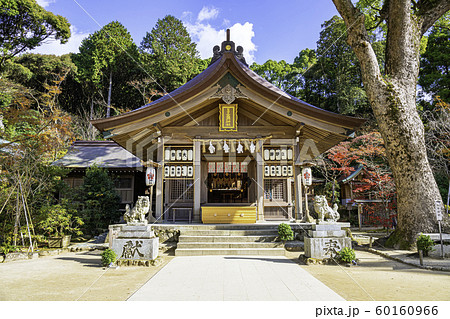 福岡県太宰府市の人気スポット 宝満宮竈門神社 60160966