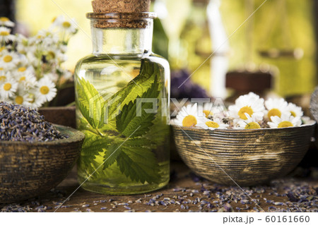Fresh herbs and oils, wooden table background 60161660