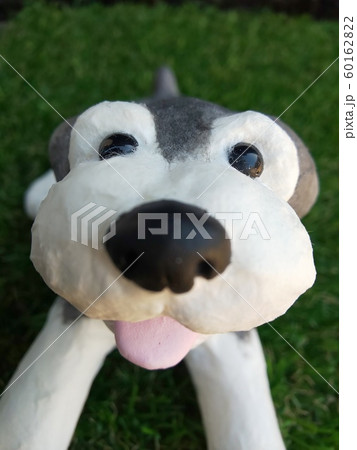 シュナウザー ドアップ犬 シュナウザー ドアップ犬 60162822