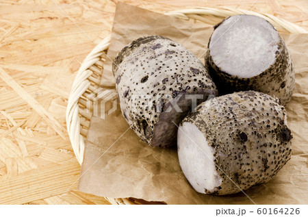 田芋 ターンム 田芋 ターンム 60164226